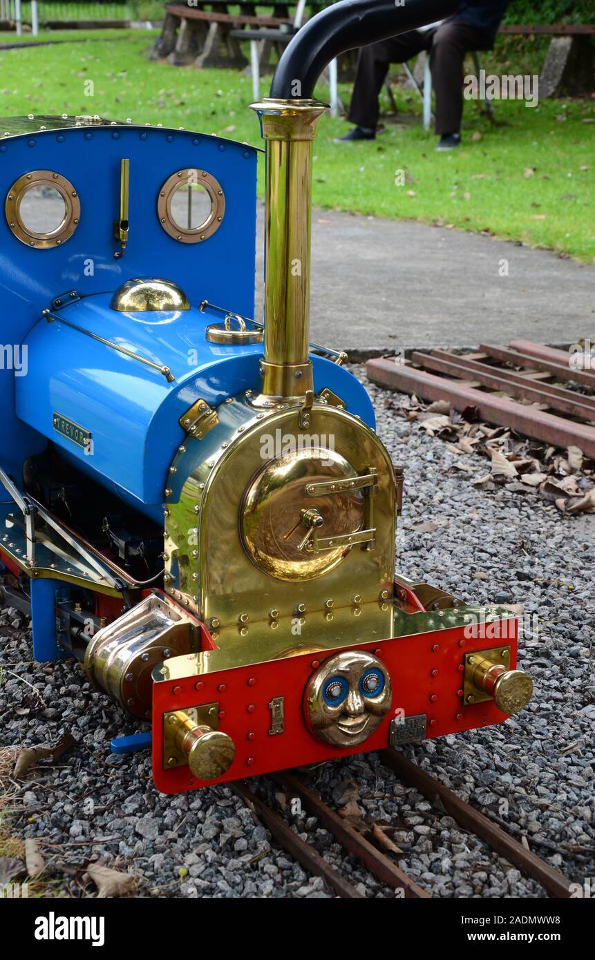 Narrow Gauge Steam