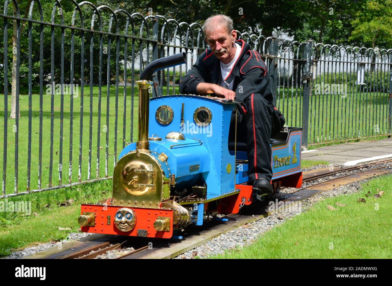 narrow gauge railway, small steam train Stock Photo Alamy