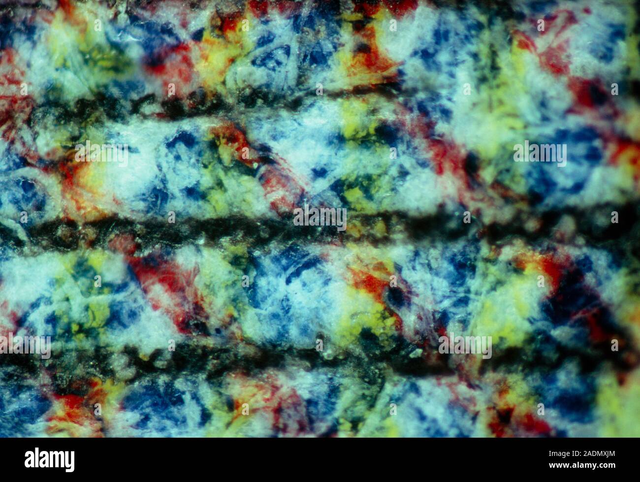 Banknote. Light microscope view of the ink markings on a banknote. The ...