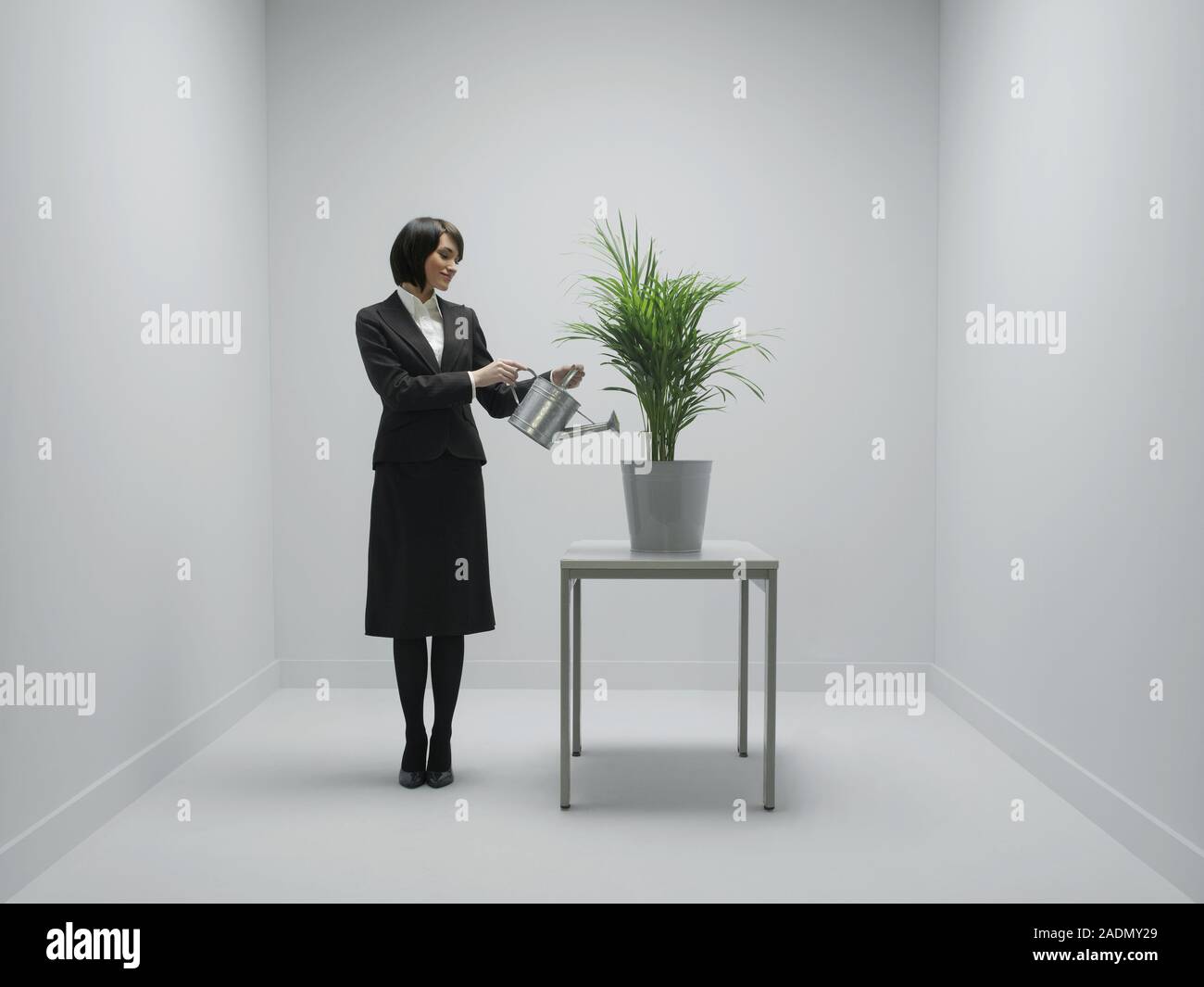 MODEL RELEASED. Office environment. Conceptual image of company growth ...