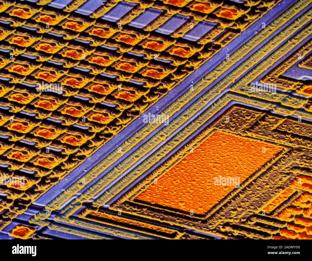 EPROM silicon chip. Coloured Scanning Electron Micrograph (SEM) of the ...