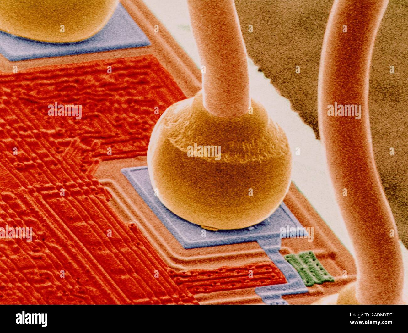 Micro-wires bonded on a silicon chip. Coloured Scanning Electron ...
