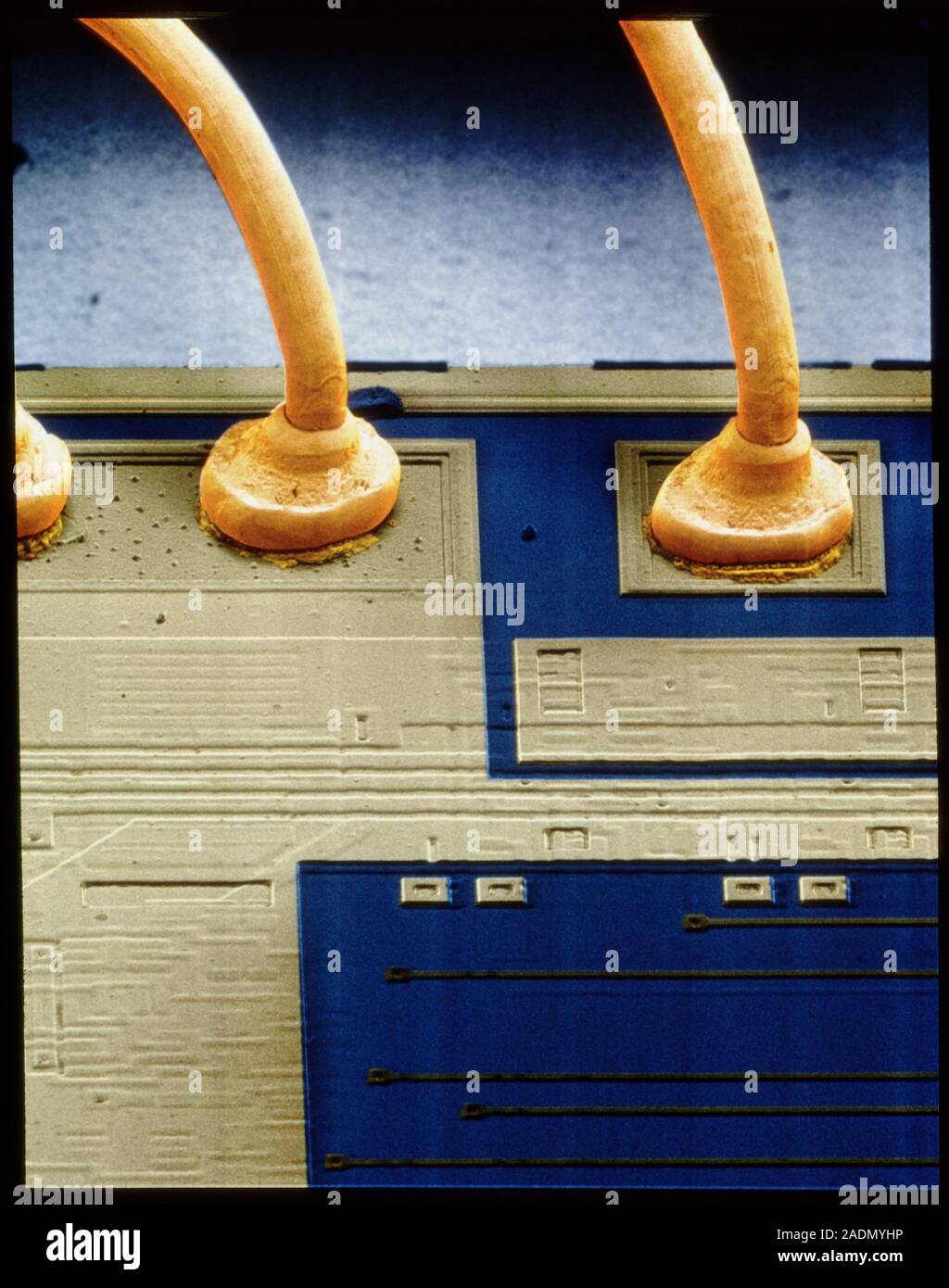 Micro-wires bonded to silicon chip. Coloured scanning electron ...
