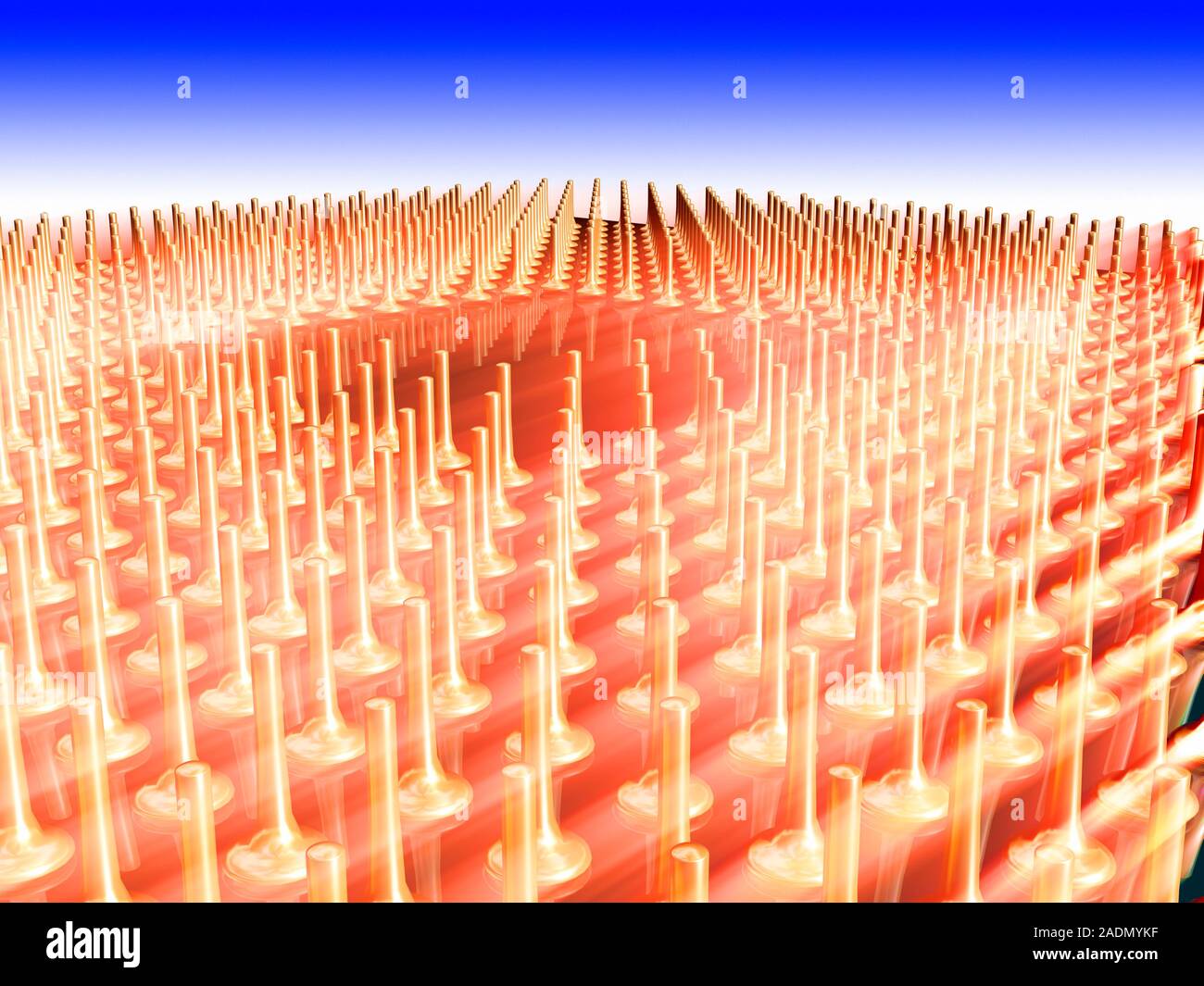 Central processing unit. Computer artwork of a 64- bit central processing unit (CPU). A CPU is the main data-processing component of a computer. Stock Photo