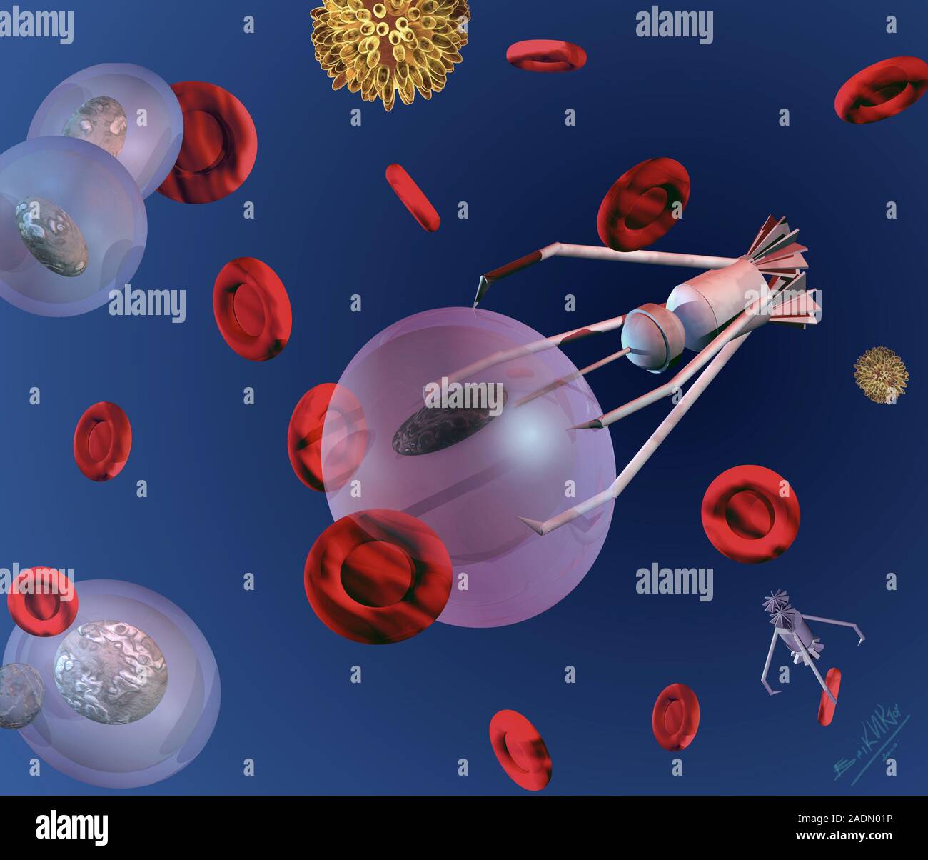 Medical nanorobots. Computer illustration of nanorobots at work in a ...