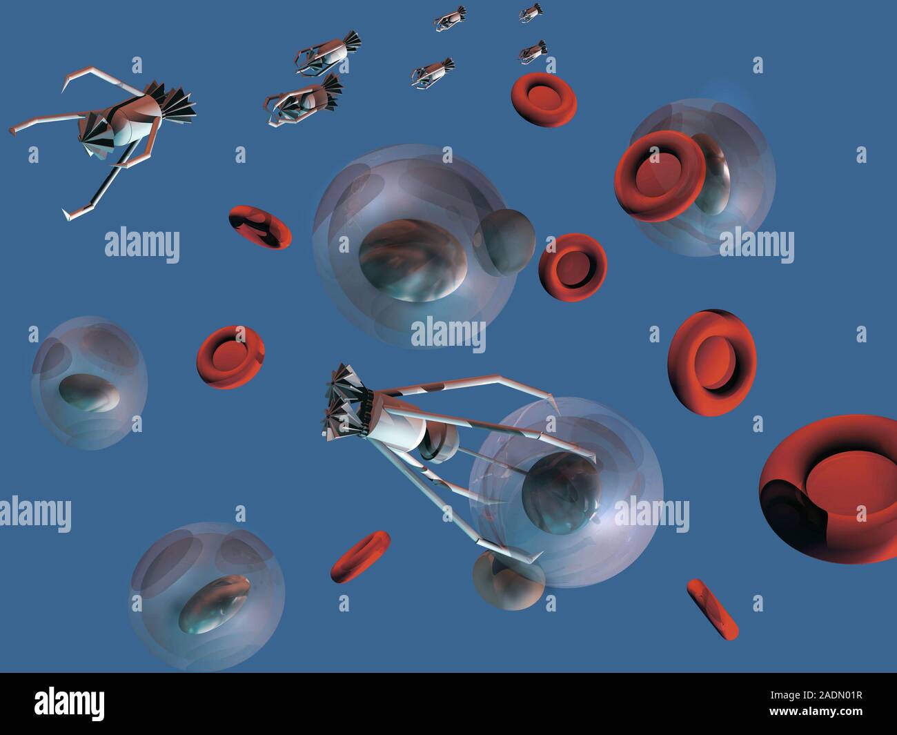 Medical nanorobots. Computer illustration of nanorobots at work in a ...