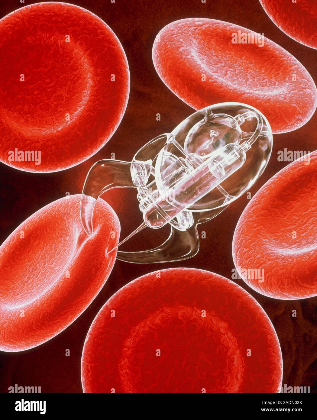 Microscope Blood Cell Machine Micro-syringe machine with red blood cells in the body, conceptual ...