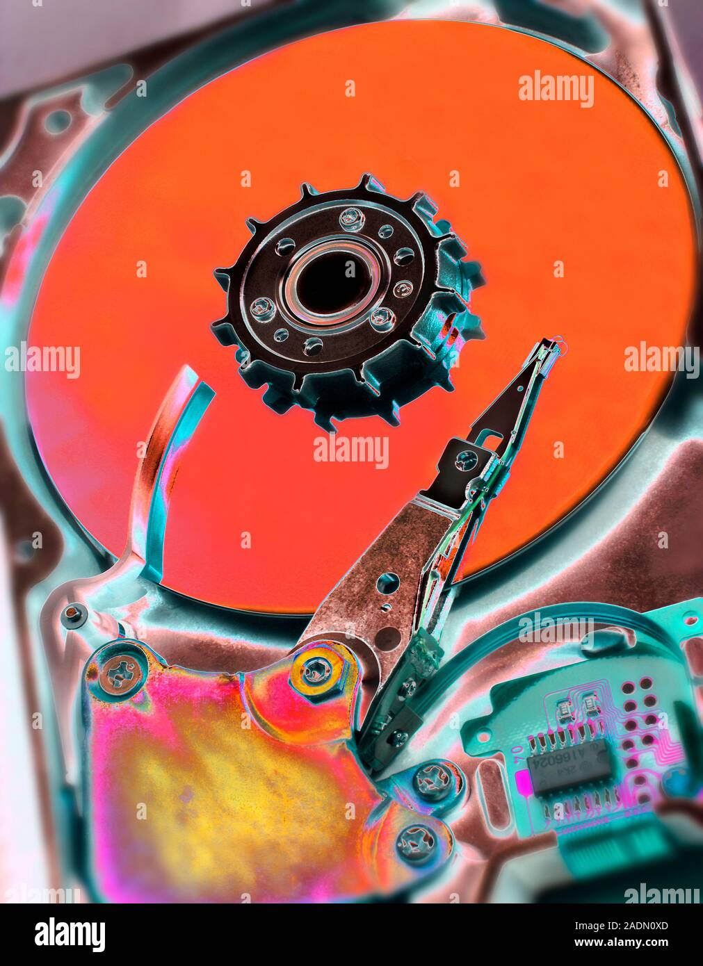 Computer hard disc. This piece of hardware equipment consists of a read