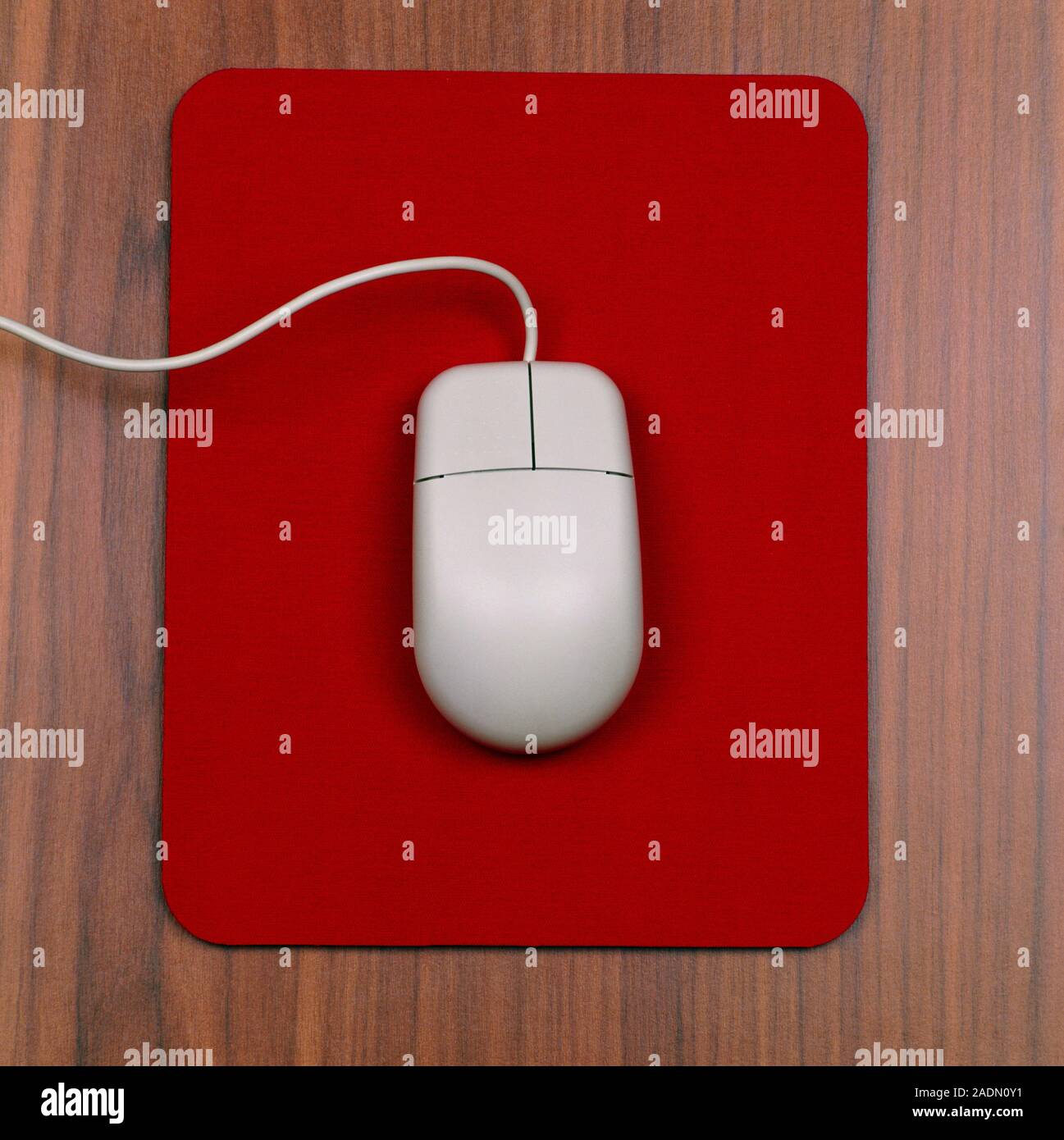 Computer mouse. The handheld device known as a mouse" with its attachment lead to a computer. It has been placed on a table mat. The mouse contains Stock Photo