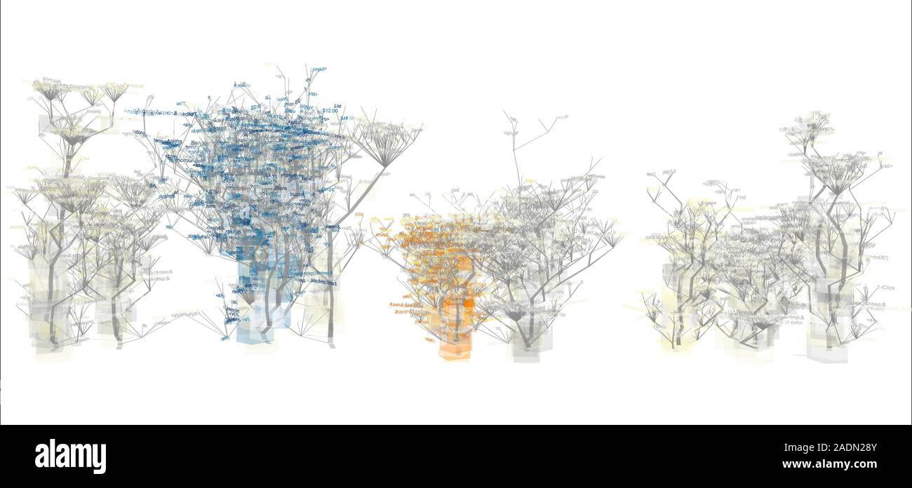 Website source code visualisation, computer artwork. This image was created using software designed to transform the source code of www.amazon.com web Stock Photo