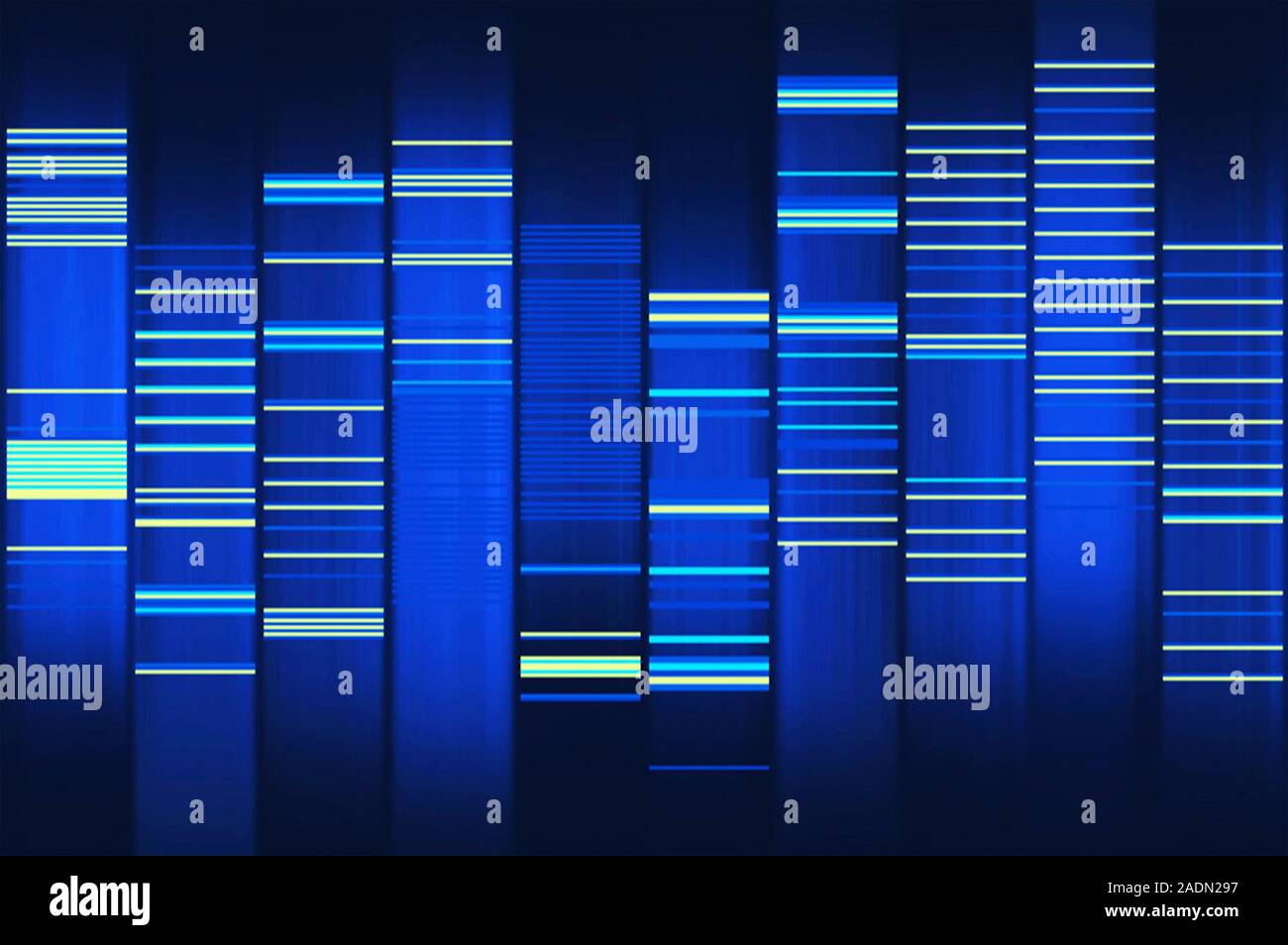 Website source code visualisation, computer artwork. This image was created using WEB2DNA software which is able to transform the source code of a web Stock Photo