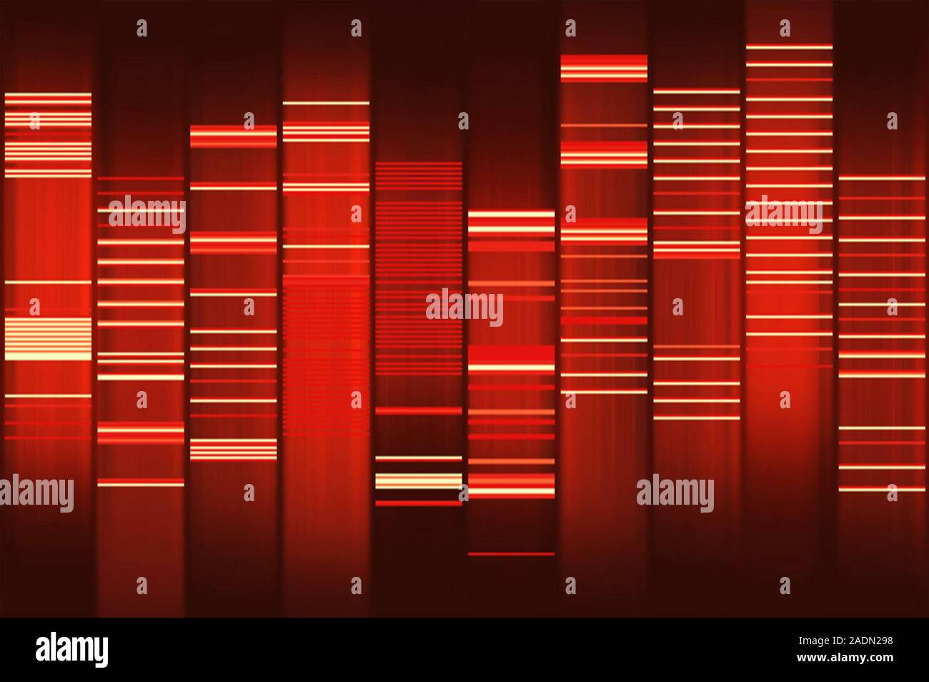 Website source code visualisation, computer artwork. This image was created using WEB2DNA software which is able to transform the source code of a web Stock Photo