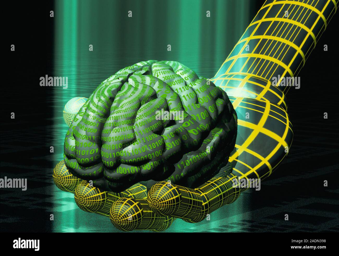 Digital brain. Conceptual computer artwork of a digital human brain ...