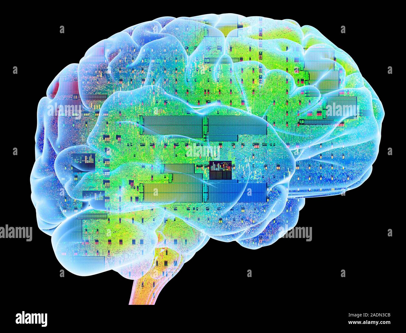 Artificial intelligence. Conceptual computer artwork of a human brain