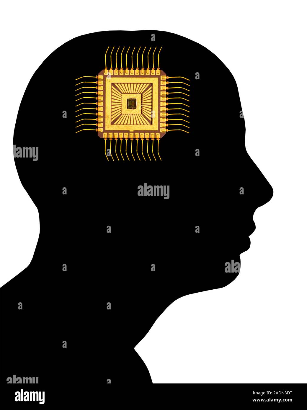 Artificial intelligence and cybernetics, conceptual image. This image of a computer's central processing unit (CPU, upper centre), superimposed on the Stock Photo