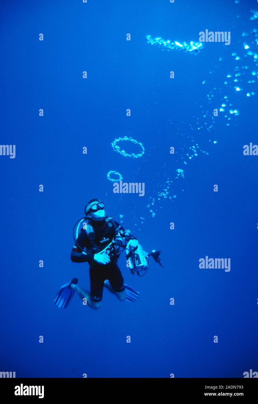 Diver blowing bubble rings. Scuba diver cameraman blowing ringshaped