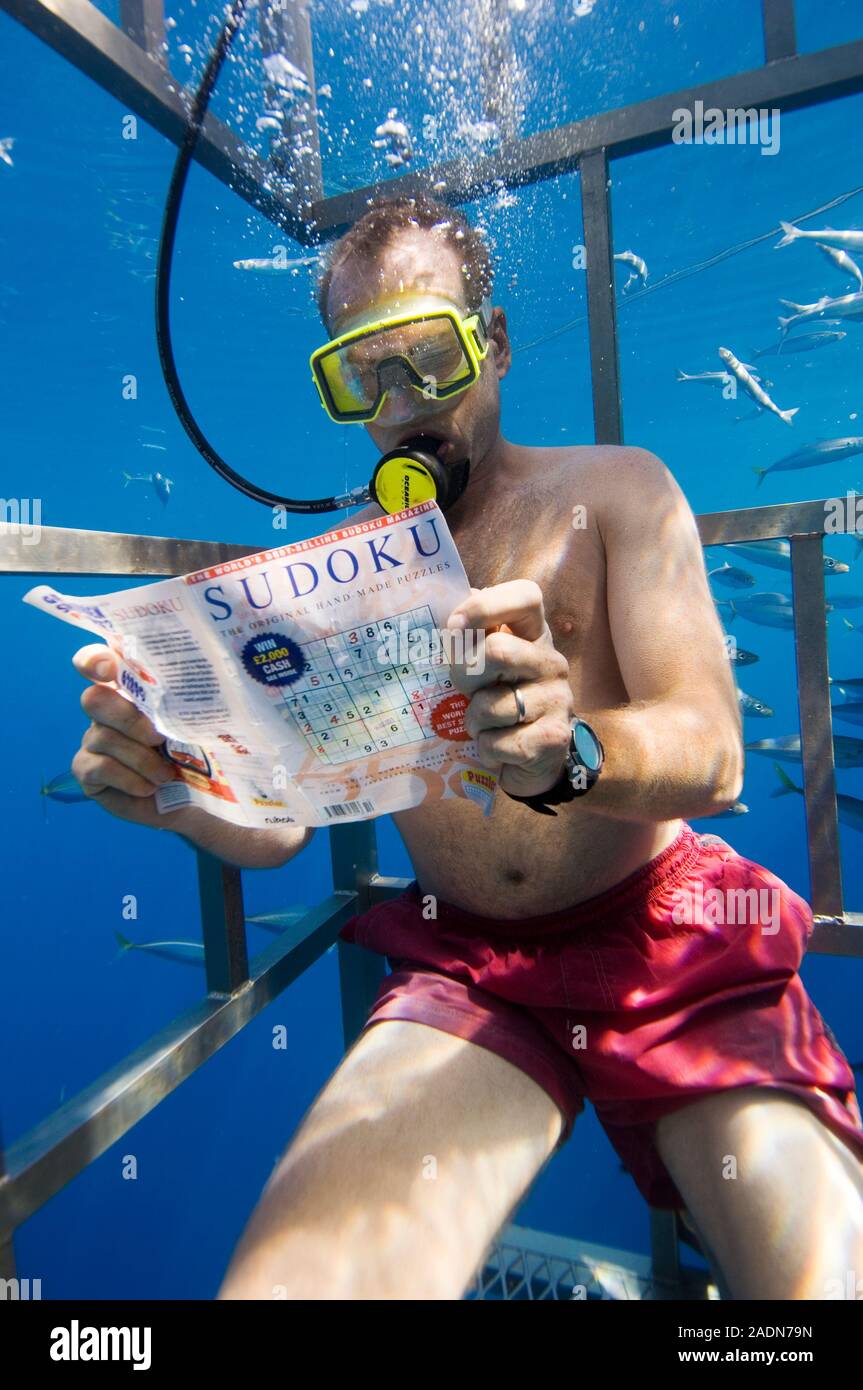 Cage diving. Scuba diver completing a sudoku puzzle to pass the time