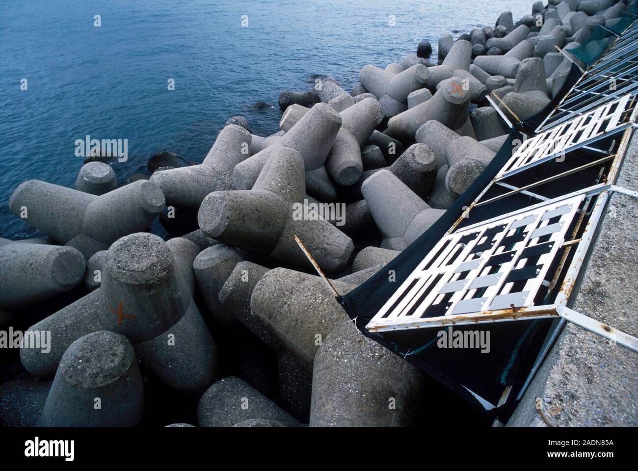 Studying seawater corrosion of metals. Metal samples (right) placed