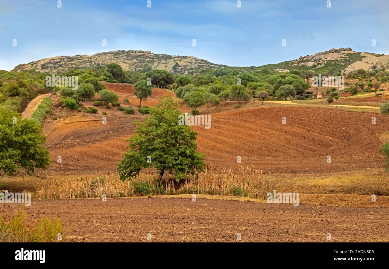 Brown, fertile, plowed soil of an agricultural field in Sardinian countryside, Sassari province, Sardinia, Italy. Stock Photo