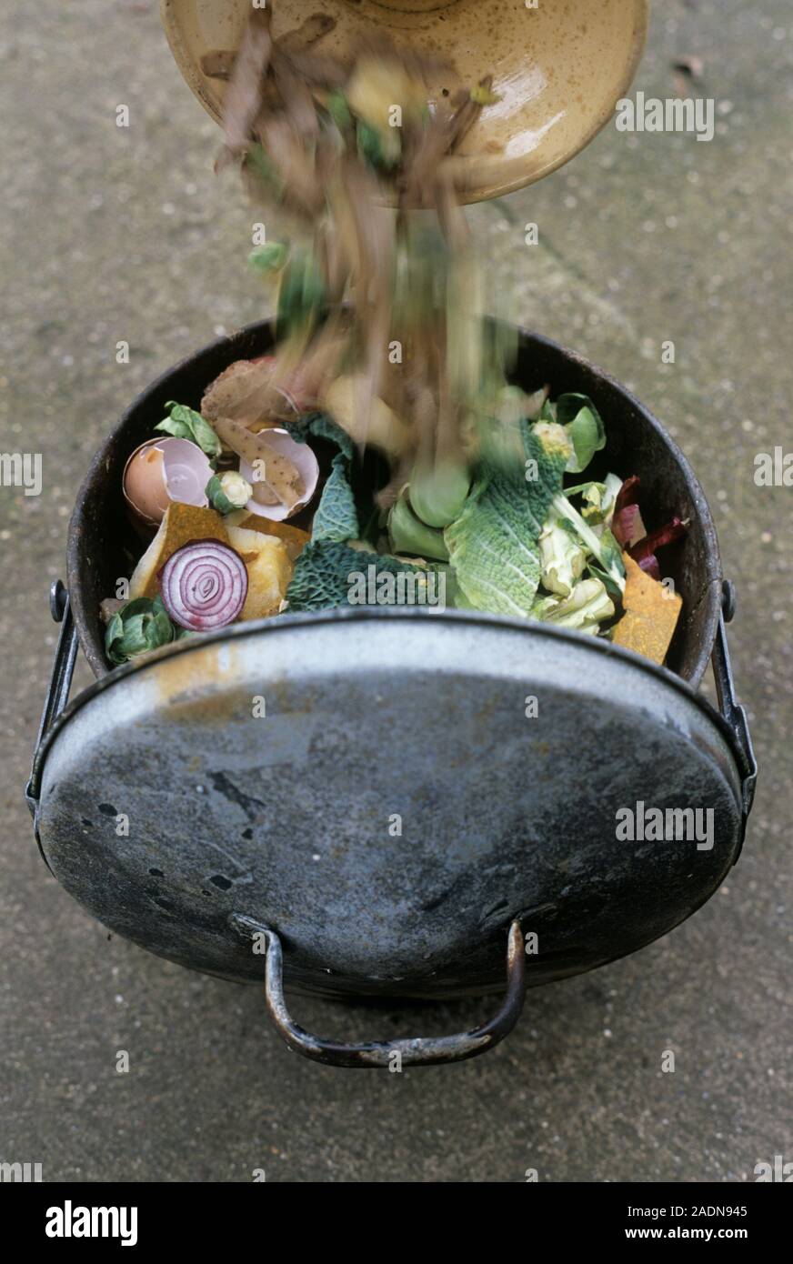 Composting. Vegetable peelings being tipped into a compost bin Stock