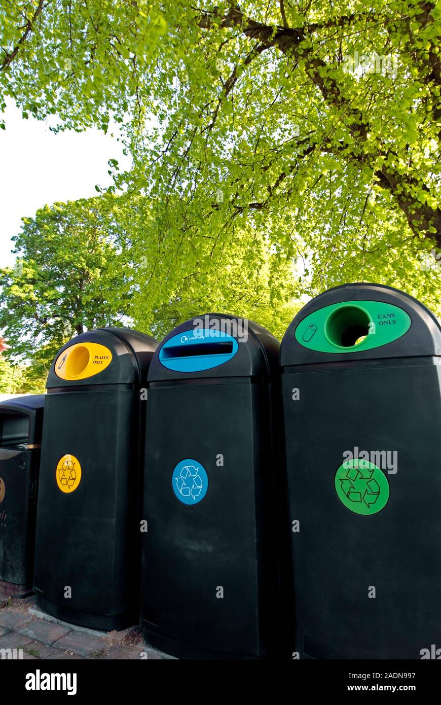 Recycling bins for plastic (yellow), paper (blue) and cans (green