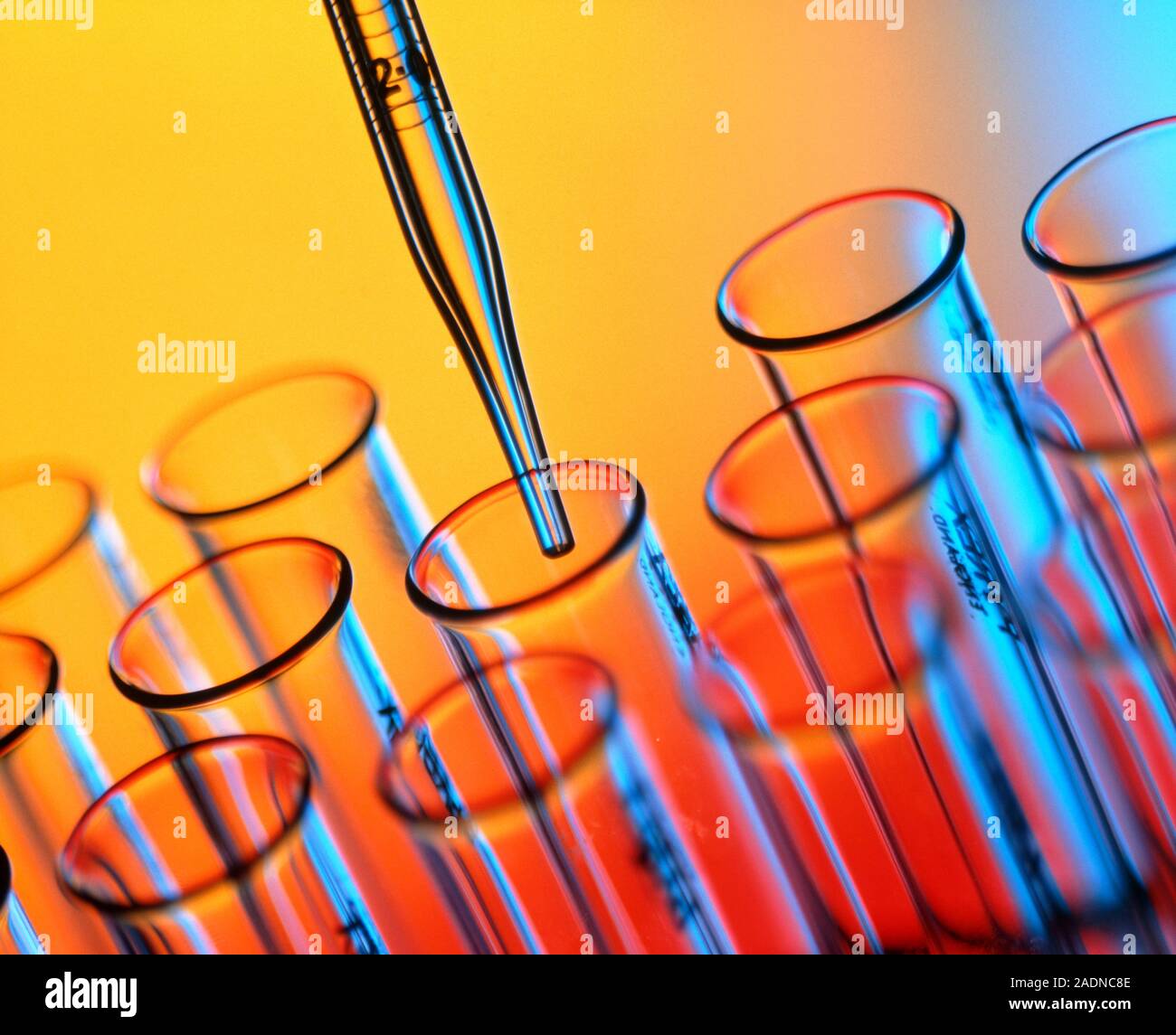 Laboratory glassware. A glass pipette (at top) being used to dispense a