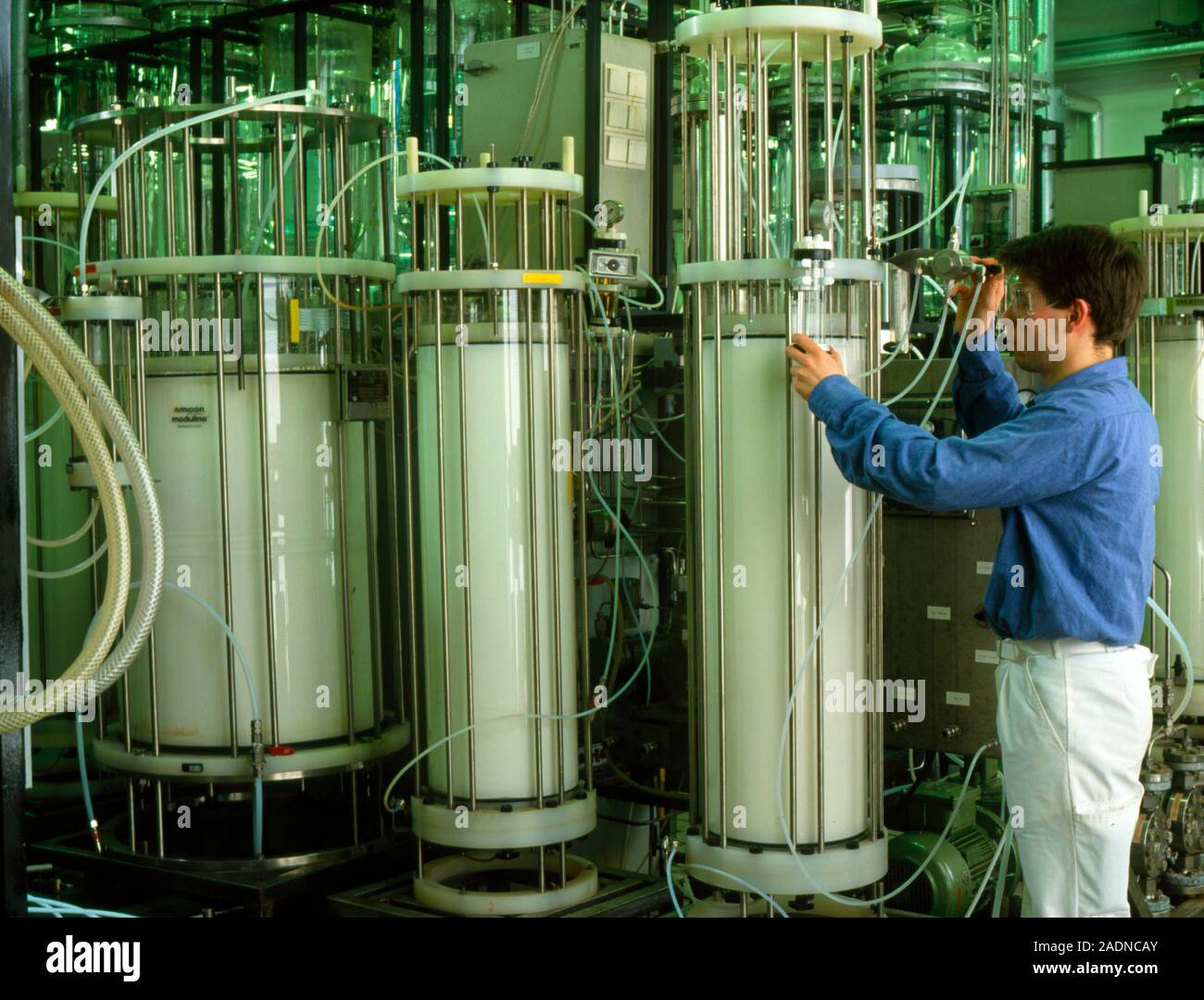 Chromatography. Scientist with column chromatography equipment. Column