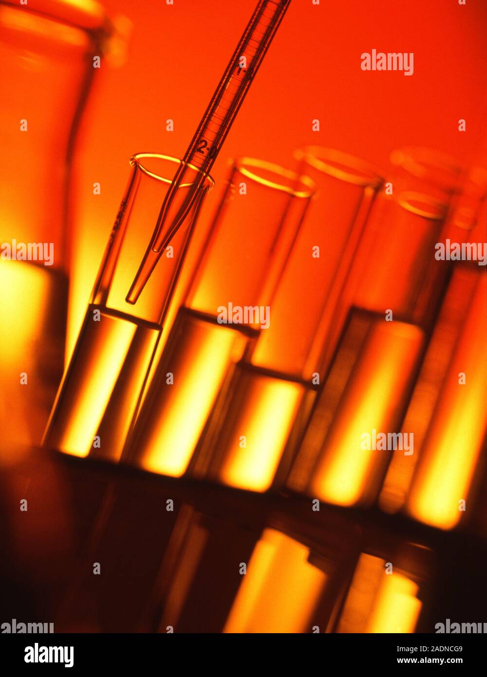 Pipette and test tubes. View of clear liquid being pipetted into a test