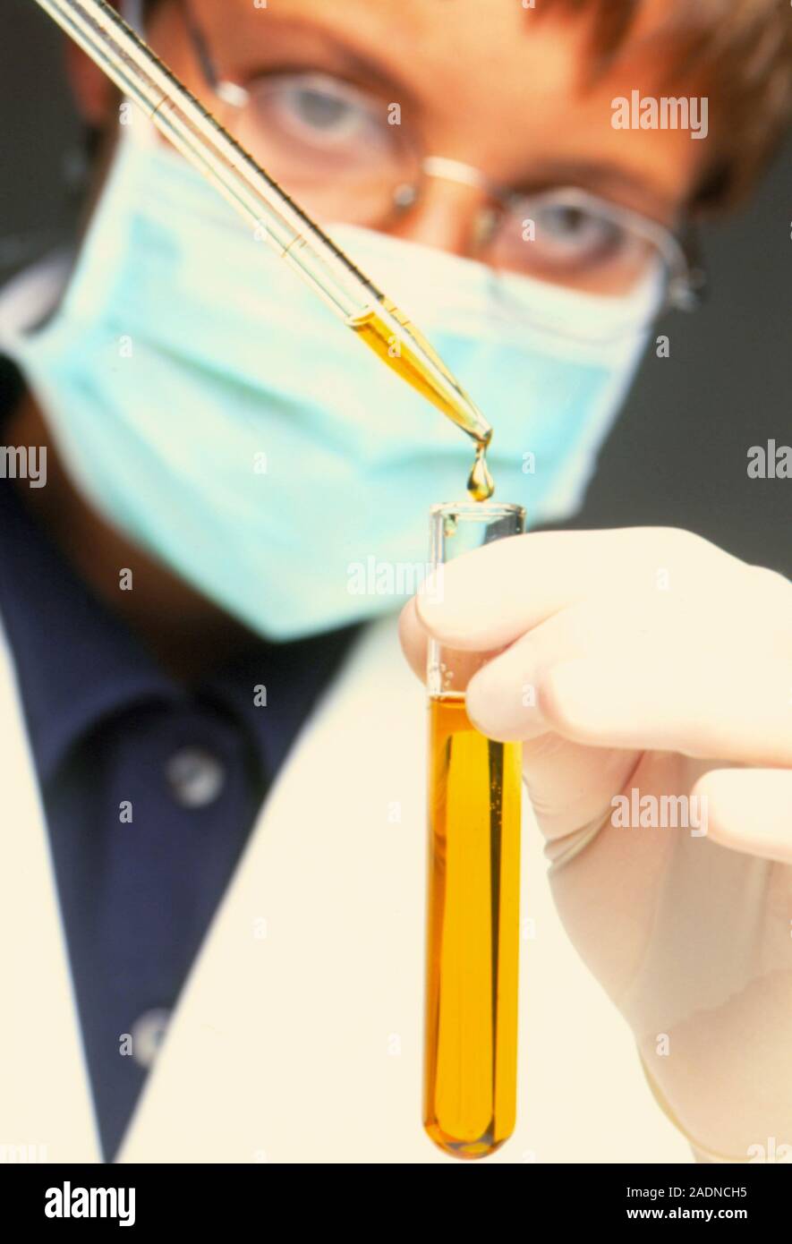 Pipetting solution. Female chemist using a pipette to transfer orange