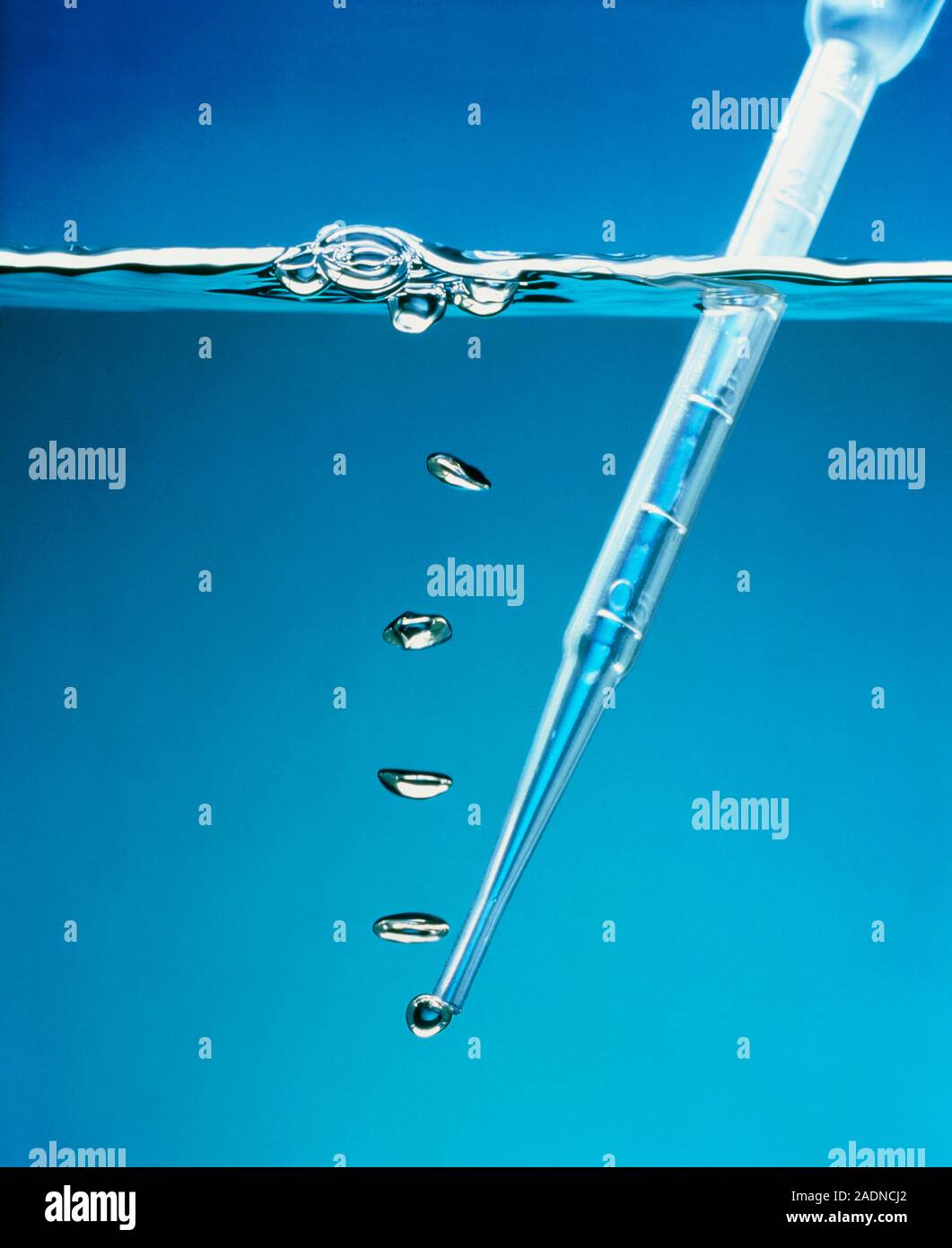 Pipette. Bubbles coming from the end of a plastic pipette in a clear