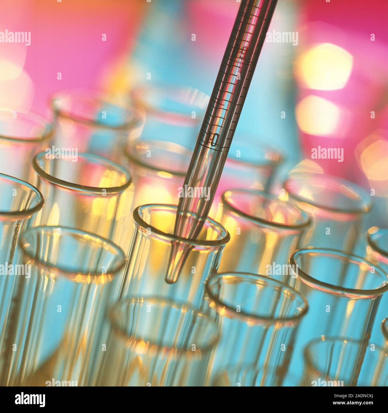 Pipetting. Graduated pipette with test tubes. A graduated pipette is