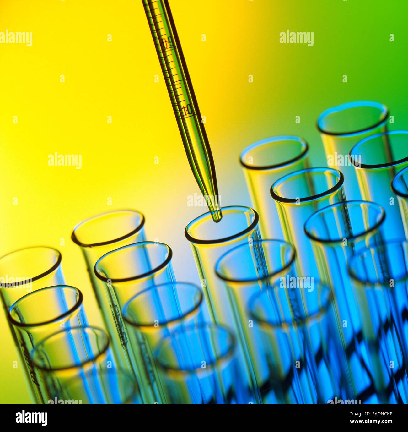 Pipetting. Graduated pipette with test tubes. A graduated pipette is