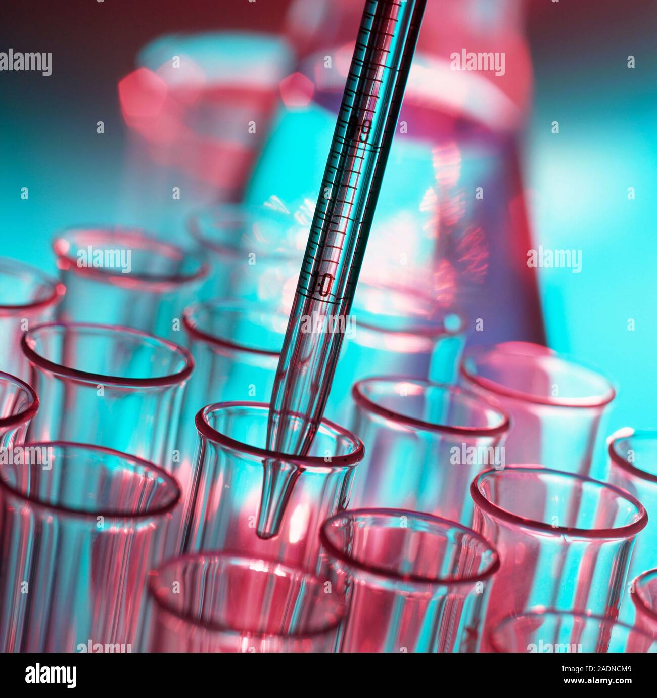 Pipetting. Graduated pipette with test tubes. A graduated pipette is