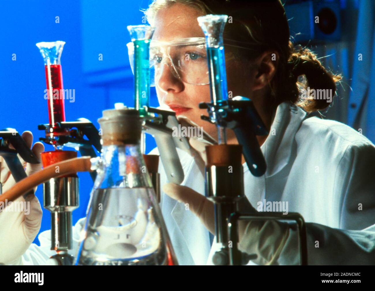 Chemist at work in a laboratory. Stock Photo