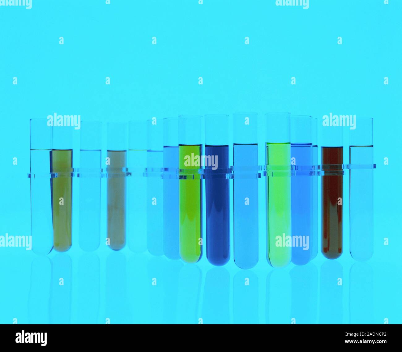 Test tubes containing coloured liquids Stock Photo Alamy