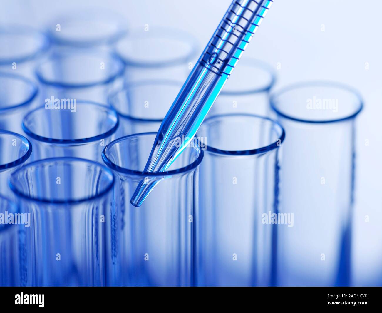 Pipetting. Graduated pipette with test tubes Stock Photo - Alamy