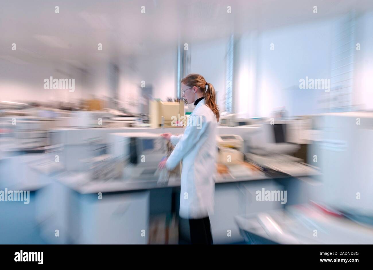 MODEL RELEASED. Female scientist working in a laboratory Stock Photo ...
