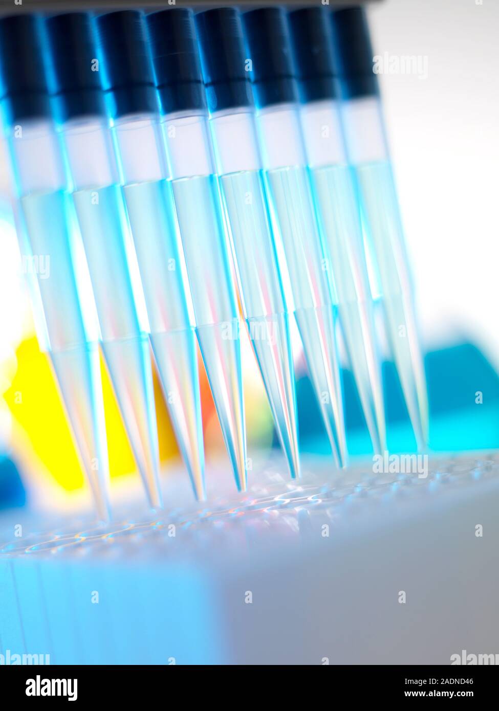 Multichannel pipette being used to dispense liquid into test tubes