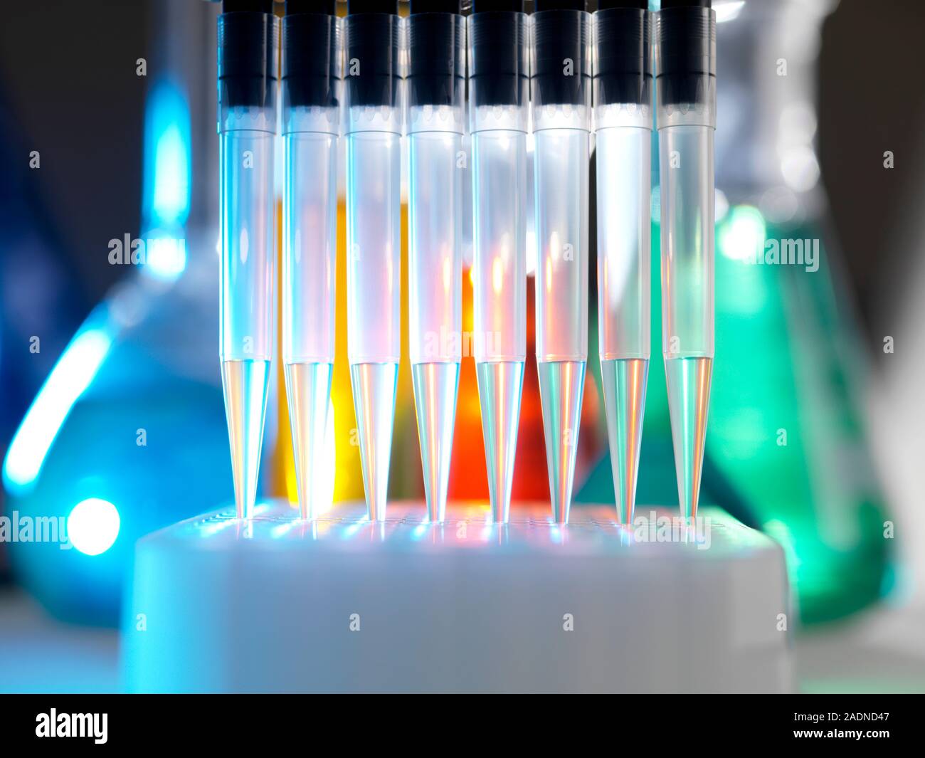 Multichannel pipette being used to dispense liquid into test tubes
