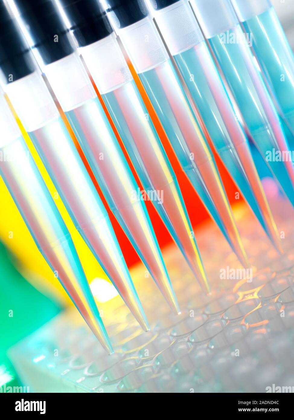 Multichannel pipette being used to dispense liquid into test tubes
