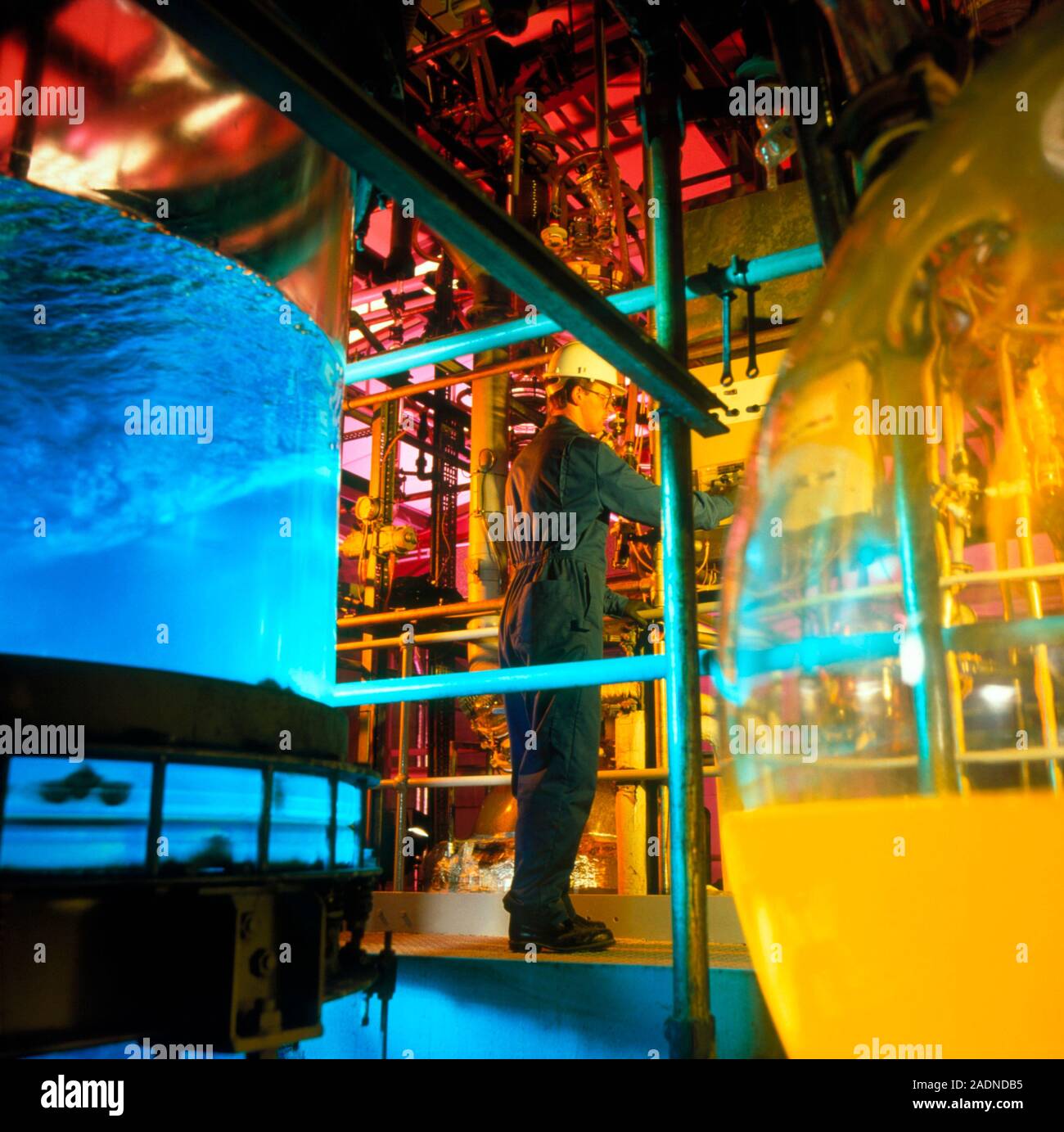 Pharmaceutical factory. Technician monitoring reactions in a factory