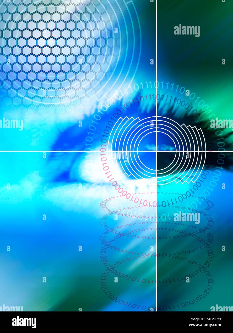 Biometric eye scan. Computer artwork of a human eye being scanned