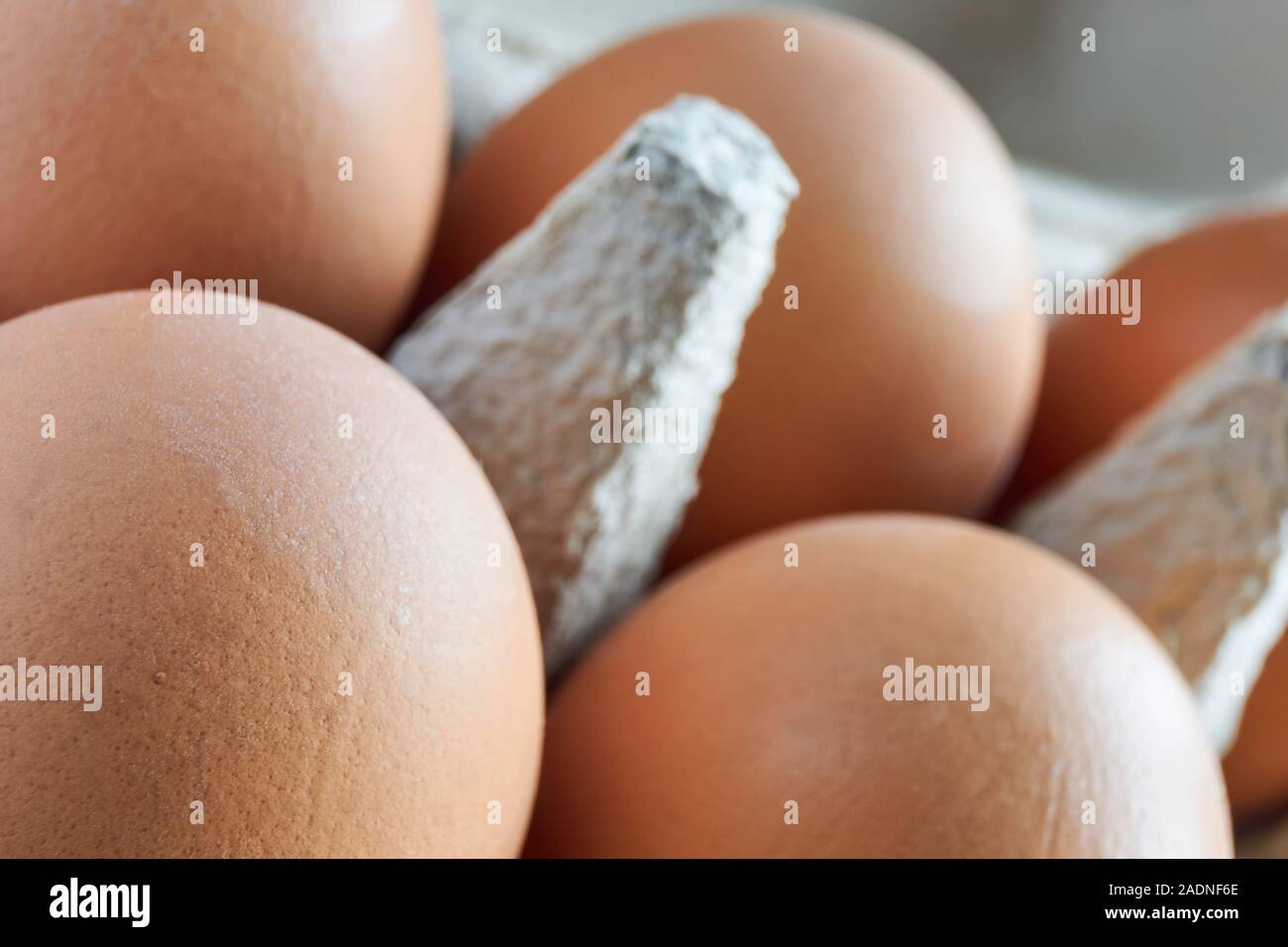 Close-up of fresh organic brown eggs in a grey egg carton or egg box Stock Photo