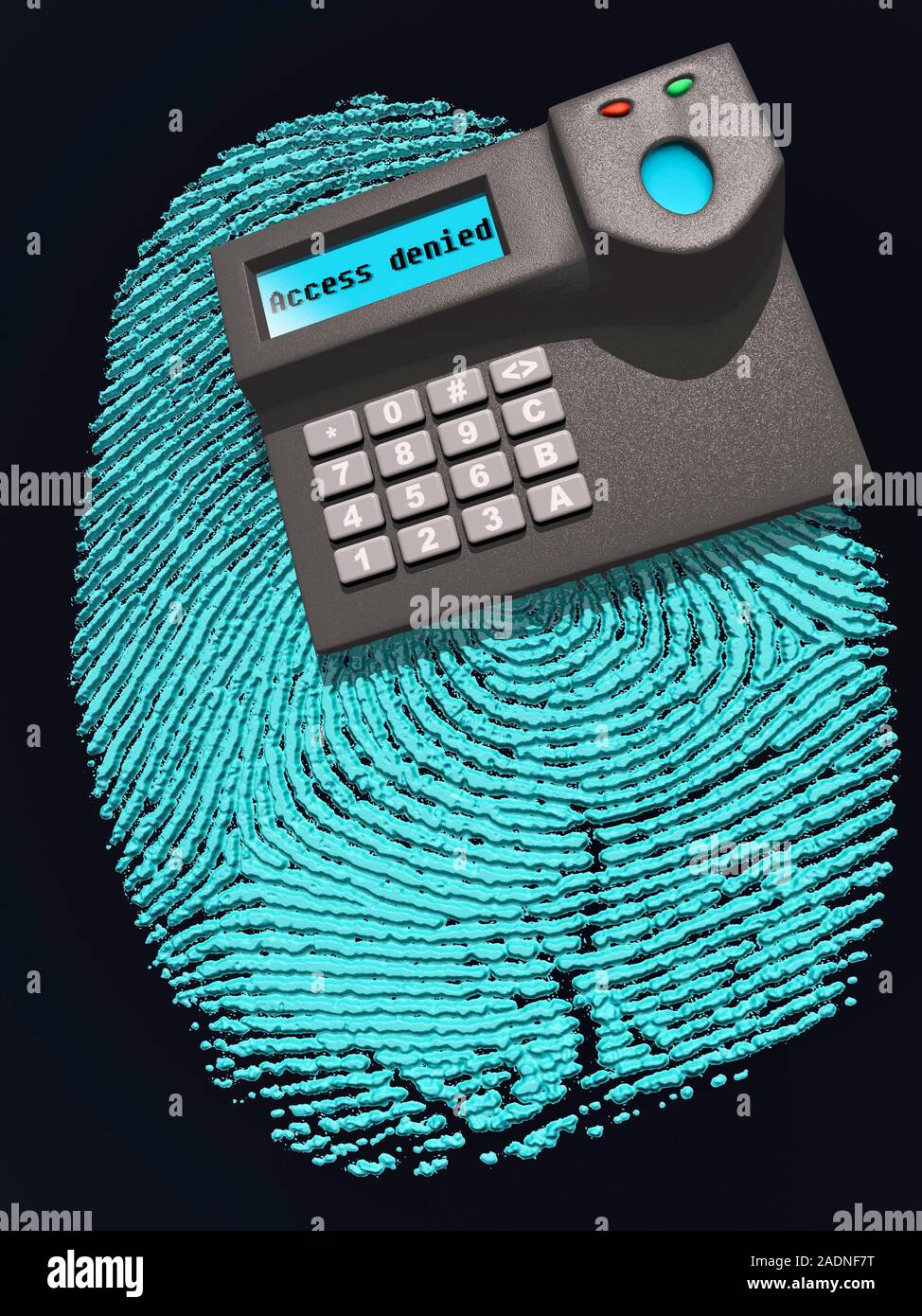 Fingerprint Scan Ridges Picture Fingerprint scanner and fingerprint. The ridges on people's fingers ...