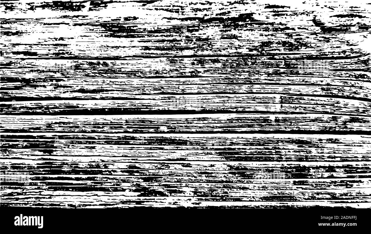 Old wood black and white texture. Vector background image Stock Vector