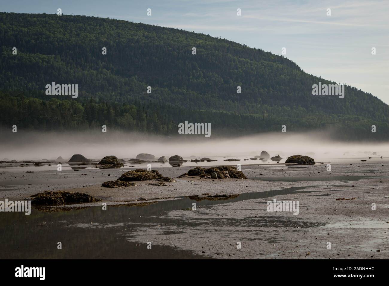 bay with rocks and mist Stock Photo