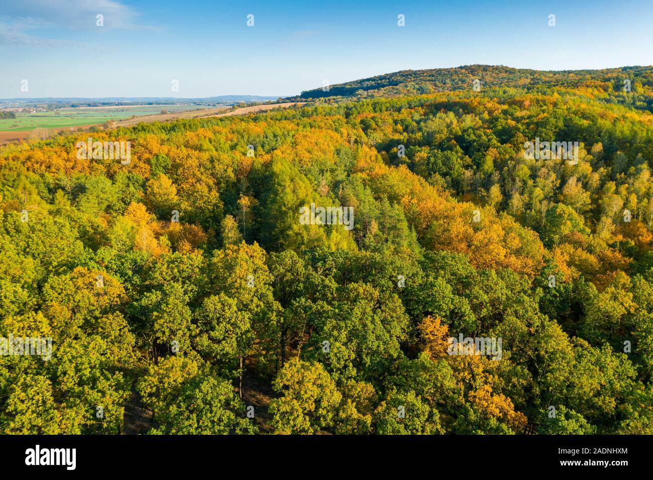 Beautiful scenery environment hi-res stock photography and images - Alamy