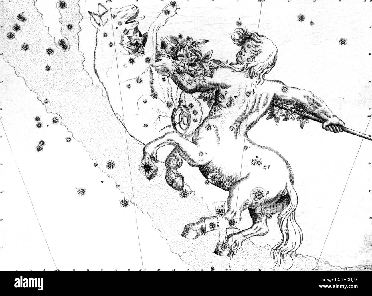 Centaurus constellation. 17th century engraving of Centaurus (the ...
