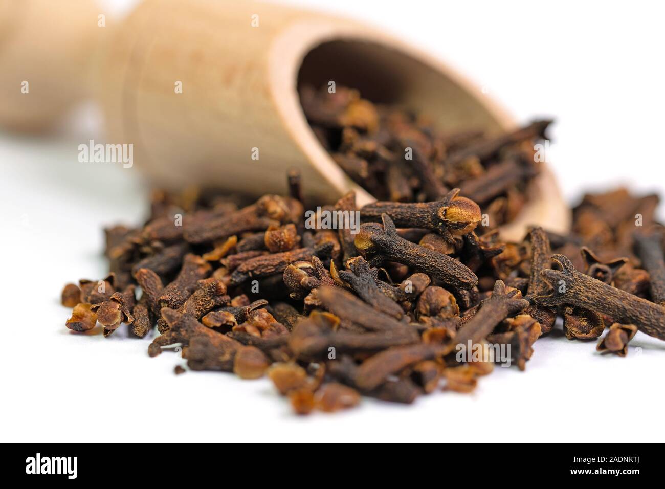 Cloves on a spice scoop Stock Photo