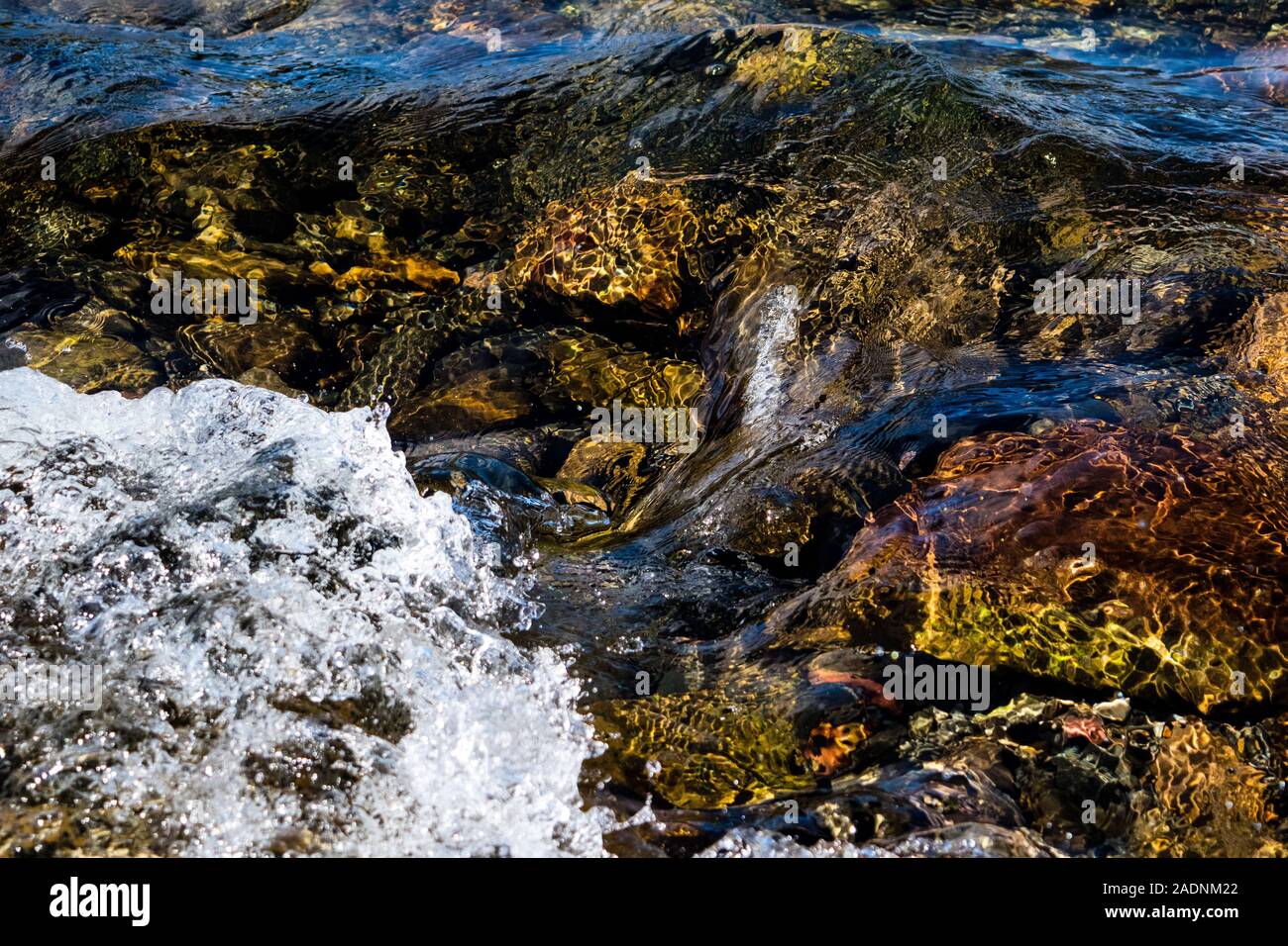pebbles at the bottom of the river Stock Photo - Alamy